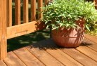 Conargopatios-4.jpg; ?>